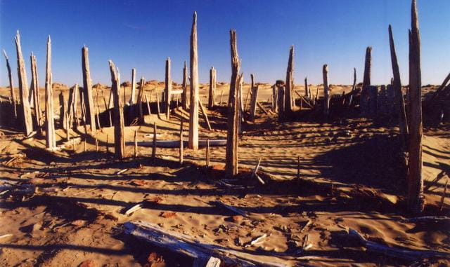 羌啊,讨南羌,这跟战争有关了.